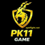 PK11 Game
